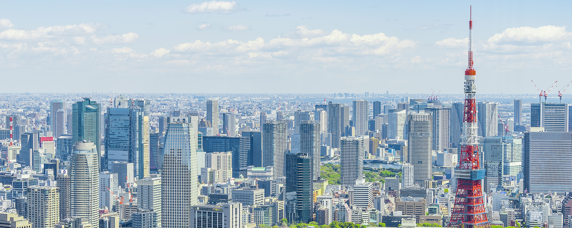 株式会社サークフルエステート